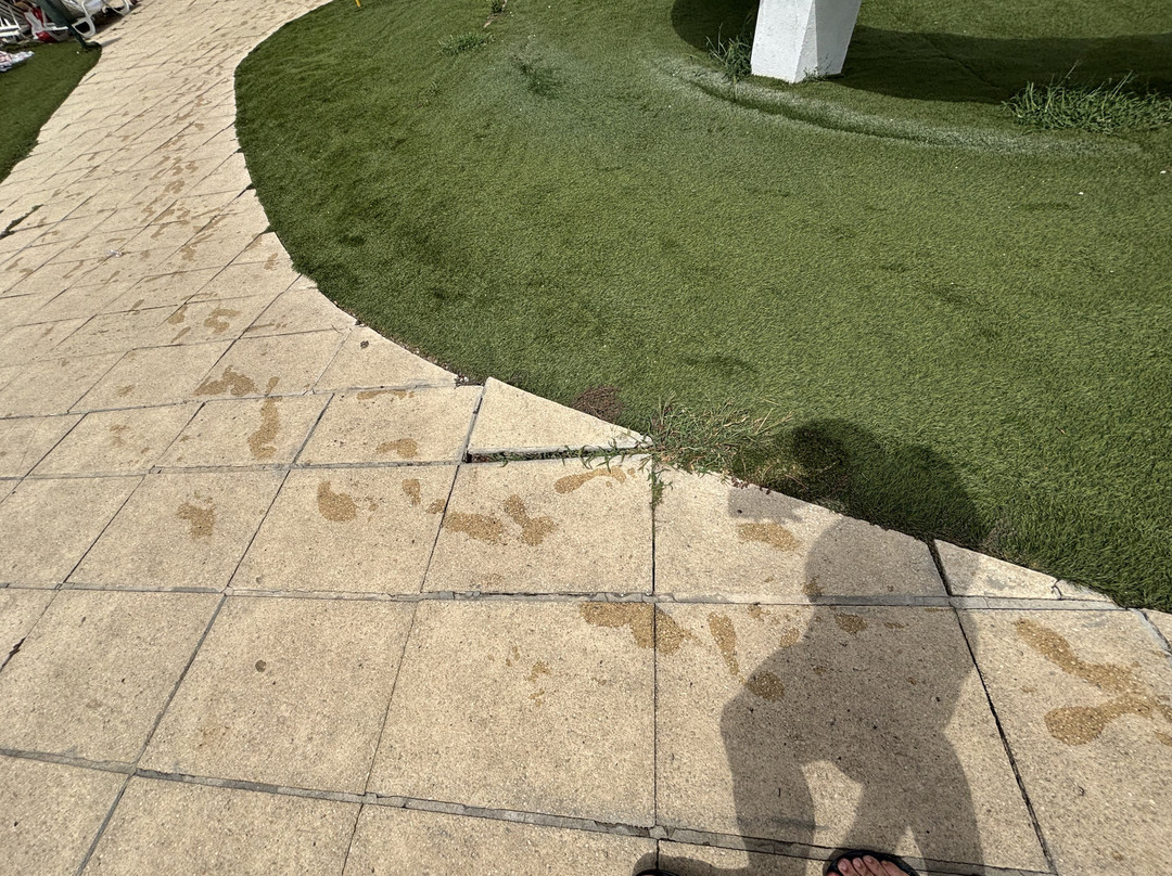 Complexo Desportivo Principe Perfeito-维塞乌必去景点