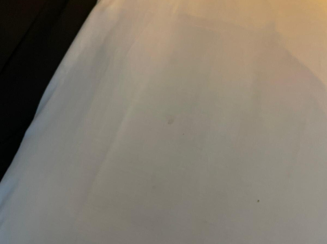 B&B Villa Norma主图