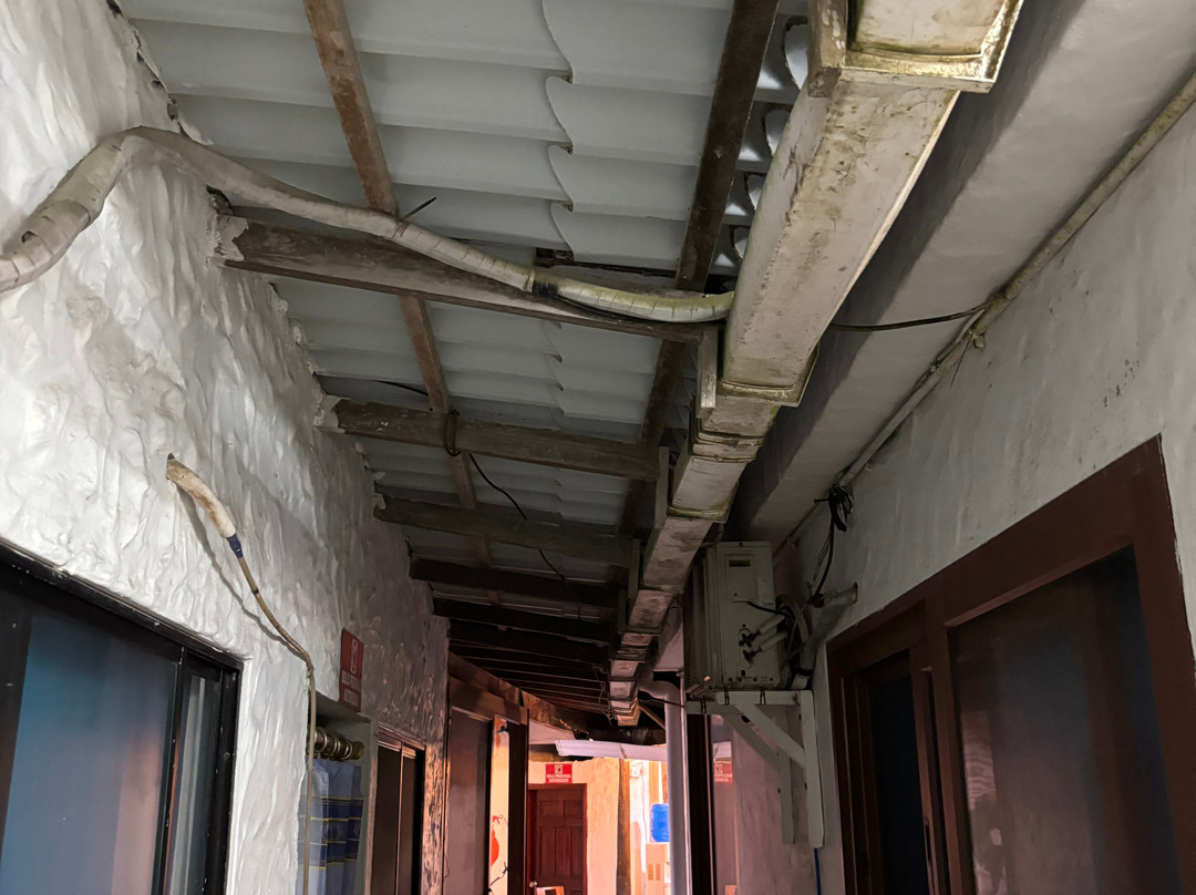 La Gran Tortuga主图