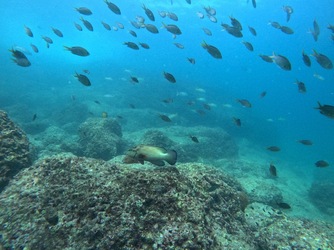 Paradise Blue Center-迪拜必去景点