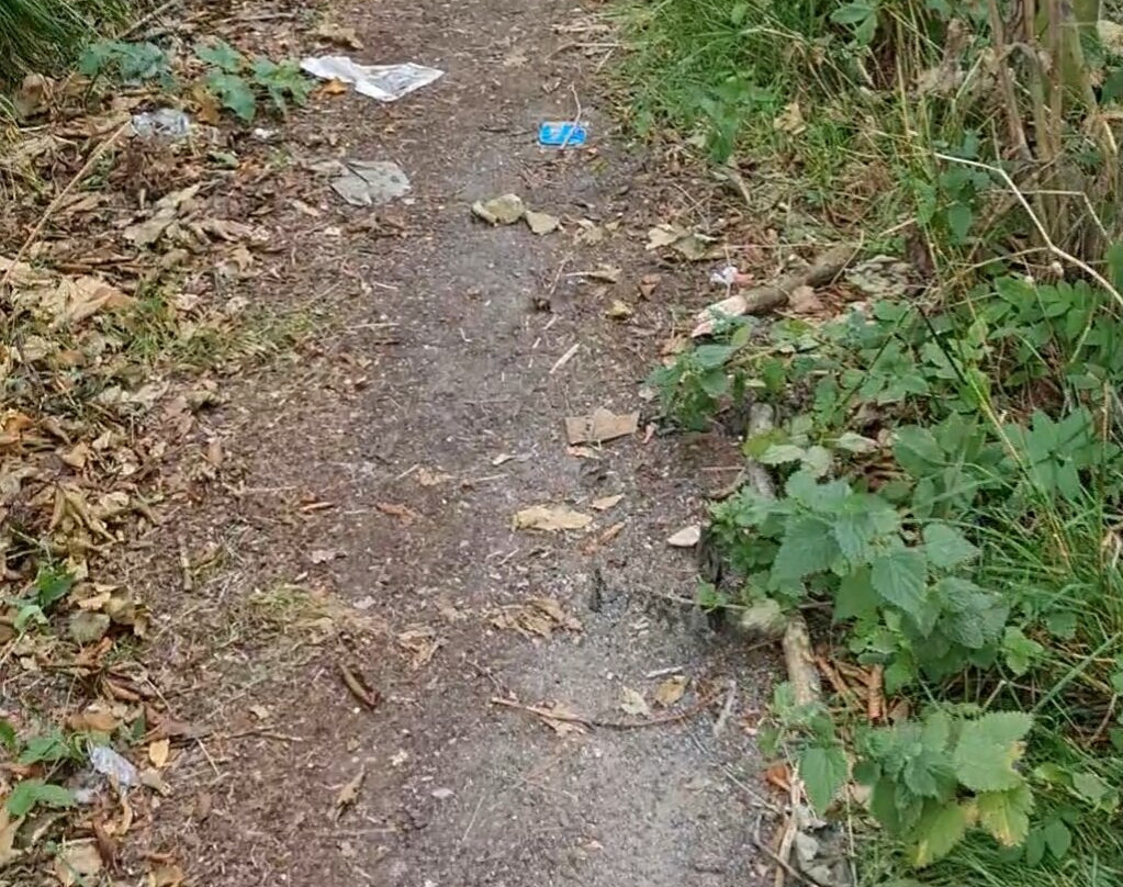 Donmouth Local Nature Reserve-阿伯丁必去景点