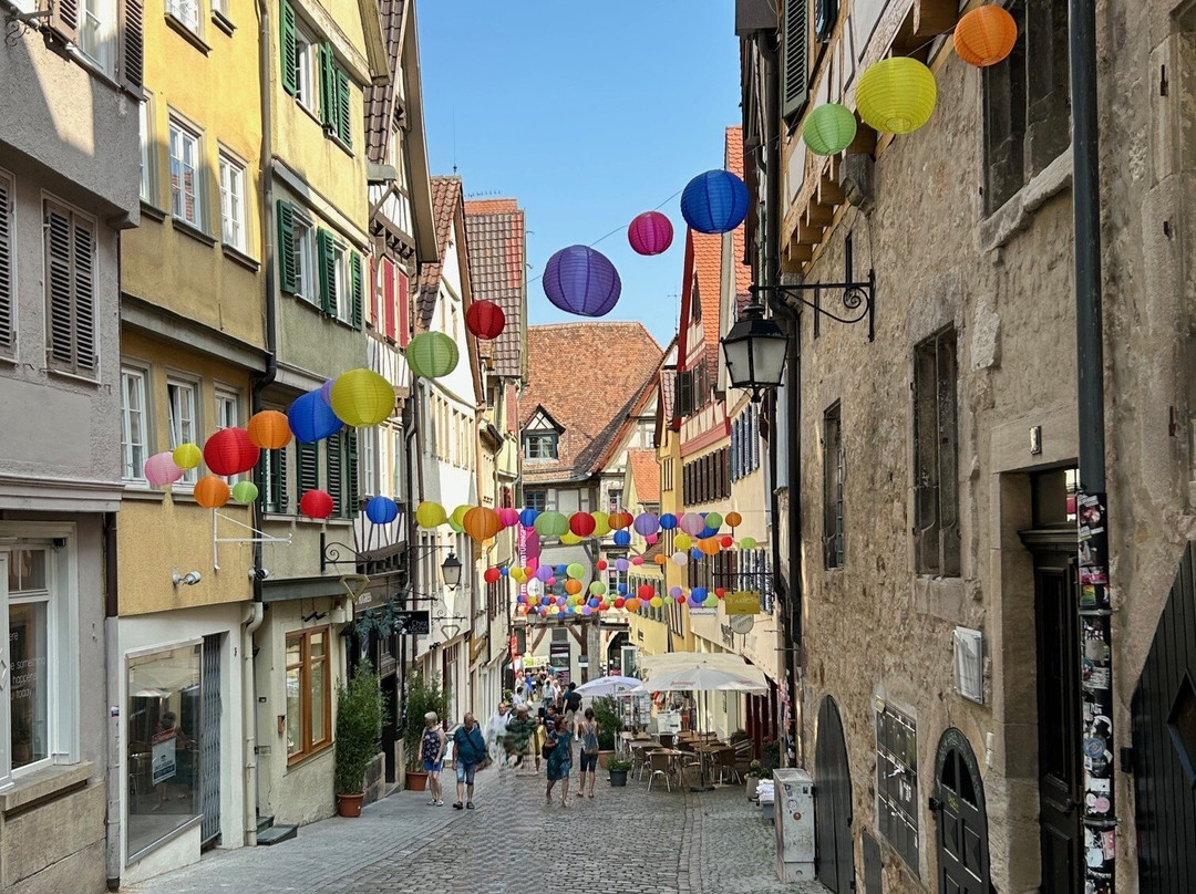 Historische Altstadt Tübingen-图宾根必去景点