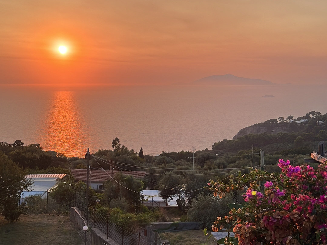 Hotel Il Girasole主图