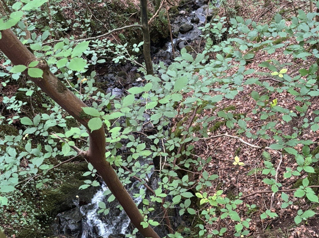 Killiecrankie Visitors Centre-Killiecrankie必去景点