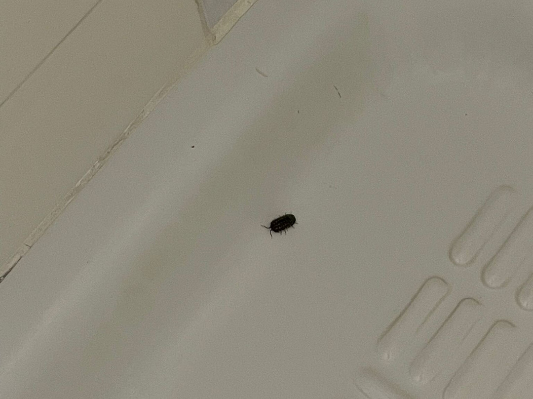 维尔德海岸酒店主图