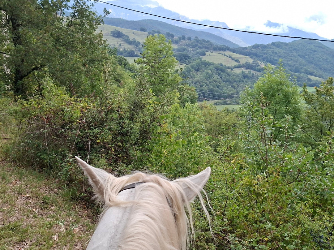 TRAC Terápies I Rutes Amb Cavall-Camprodon必去景点