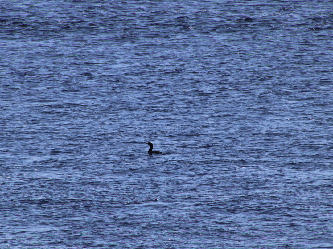 Sentier de la Pointe-de-l'Islet Trail-泰道沙克必去景点