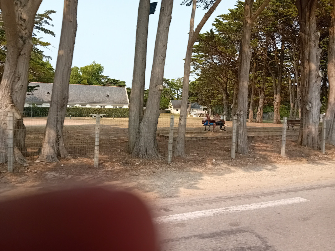 Le Petit Train de Quiberon-基伯龙必去景点