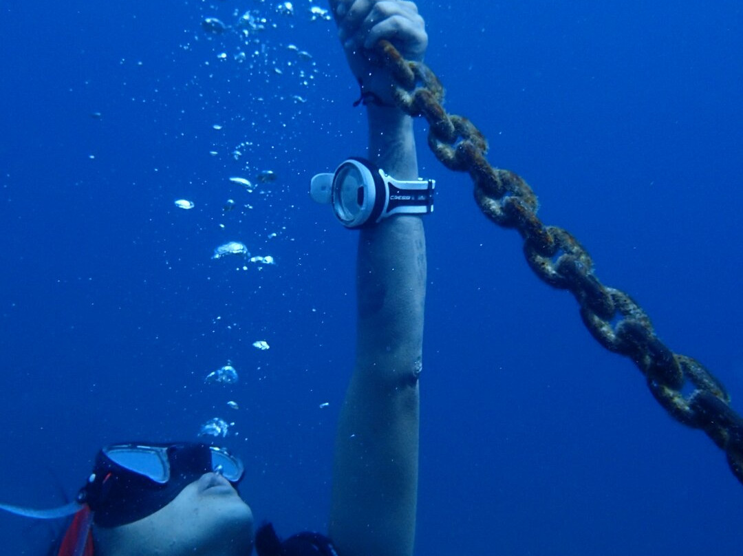 Centre d'Immersio Cap de Creus-Llanca必去景点