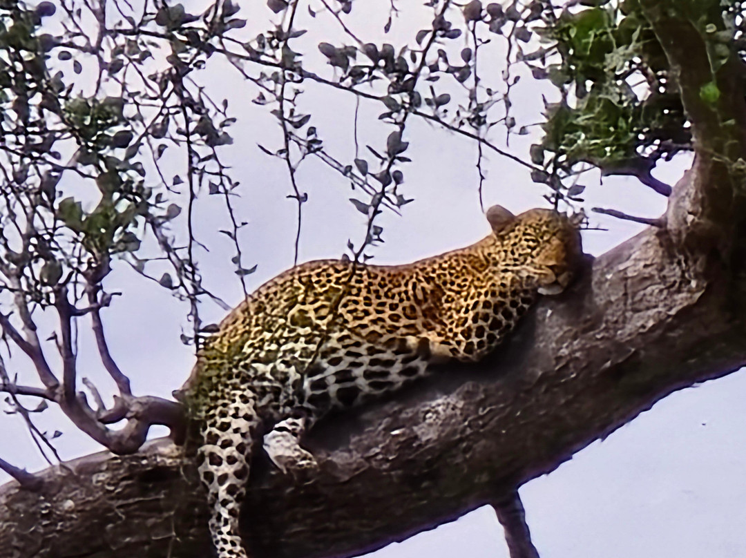 AfrikaKukaye Tours and Safaris-莫西必去景点