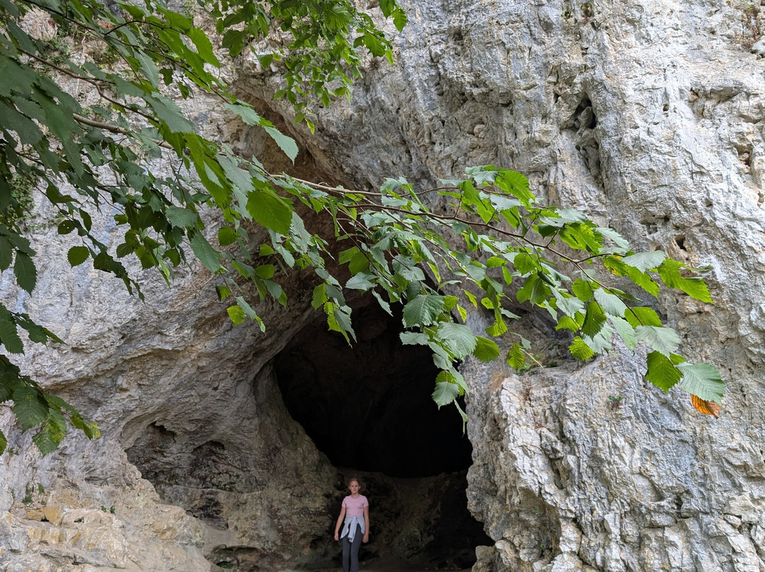 Grottes d'Arcy-sur-Cure-Arcy-sur-Cure必去景点
