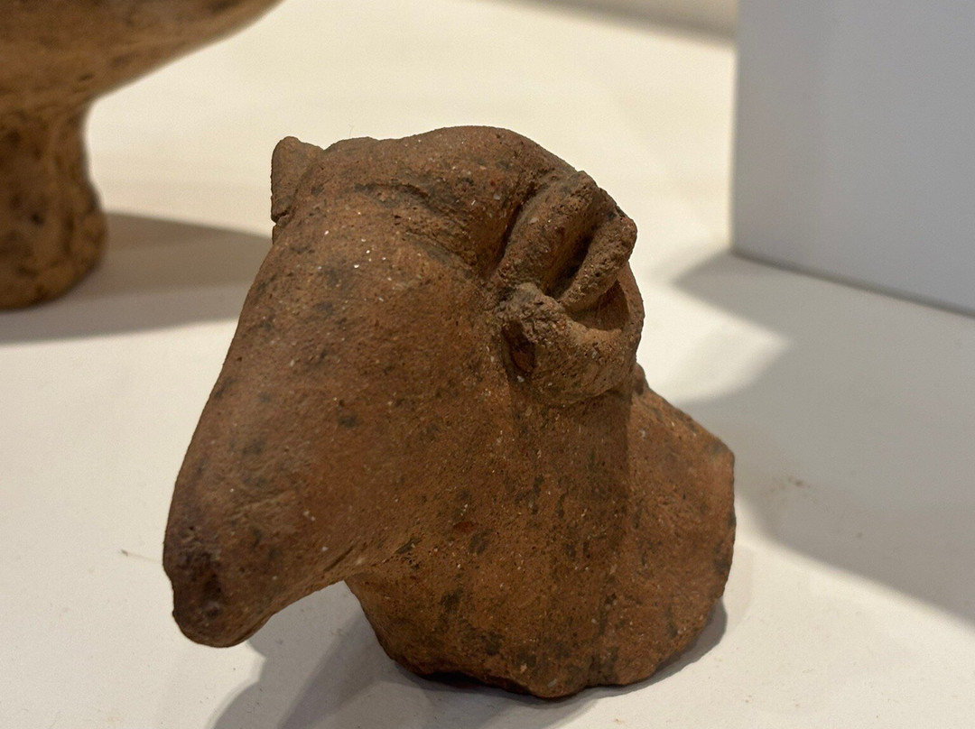 Archaeological Museum of Medma - Rosarno-Rosarno必去景点