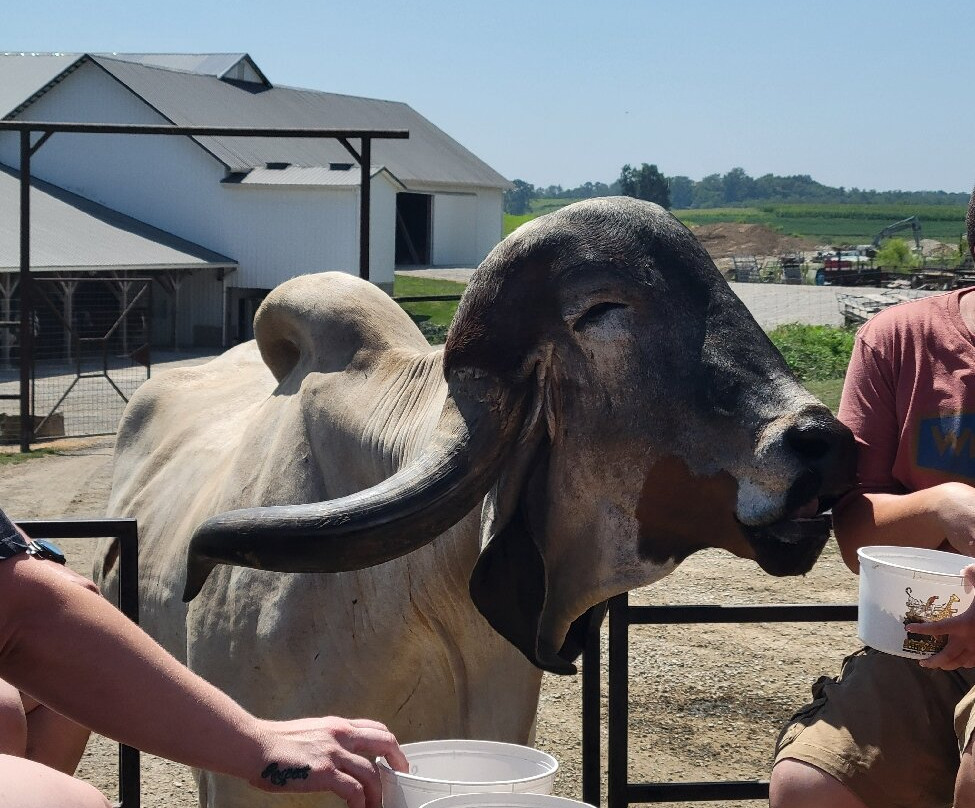 The Farm at Walnut Creek-Sugarcreek必去景点