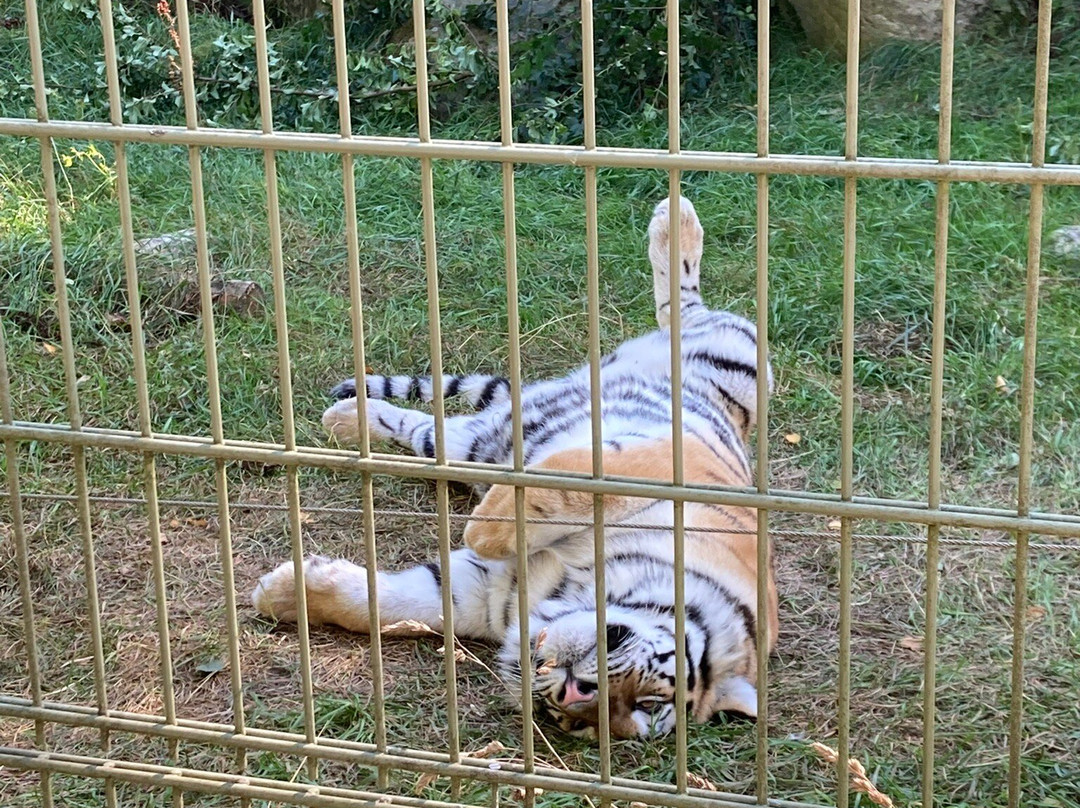 Nordens Ark-Hunnebostrand必去景点