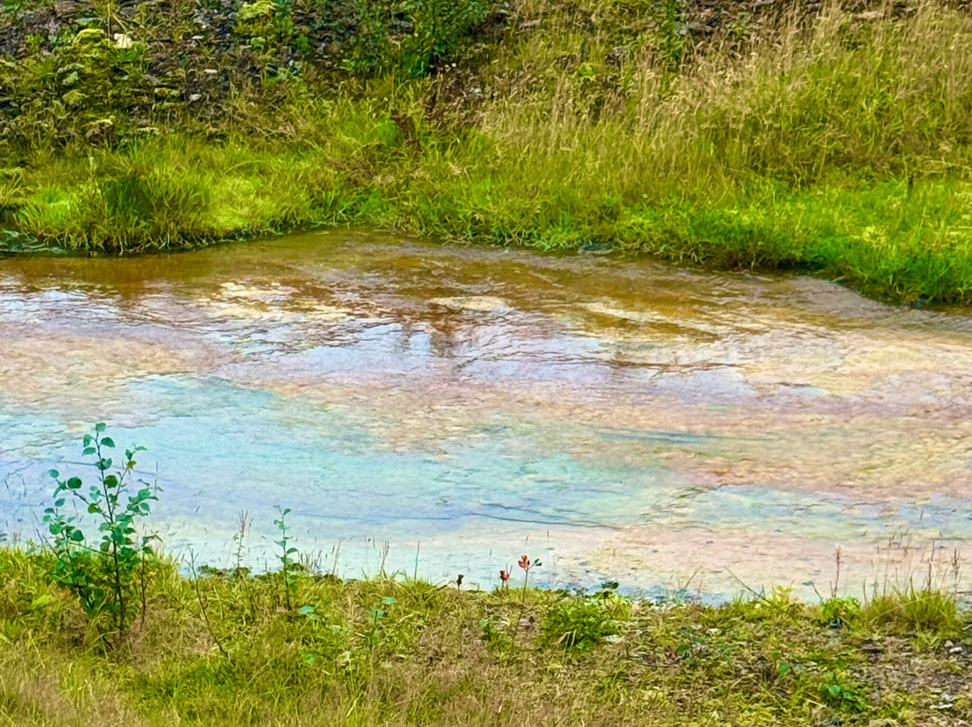 The Geothermal Park Hveragerdi-Hveragerdi必去景点