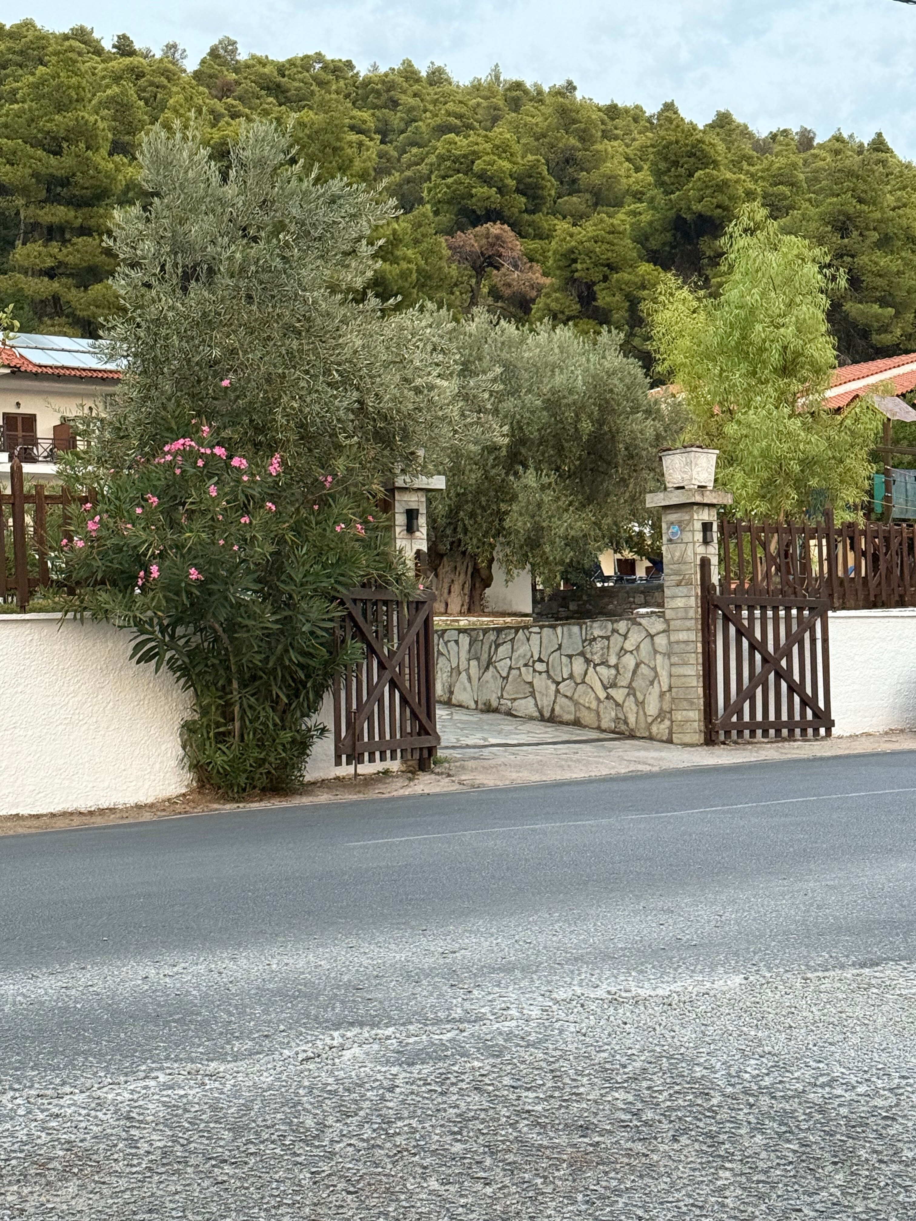 Delphi Hotel-官方