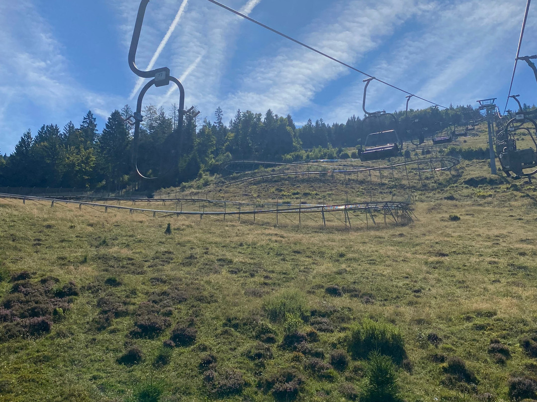 Hasenhorn Coaster Todtnau-托特瑙必去景点