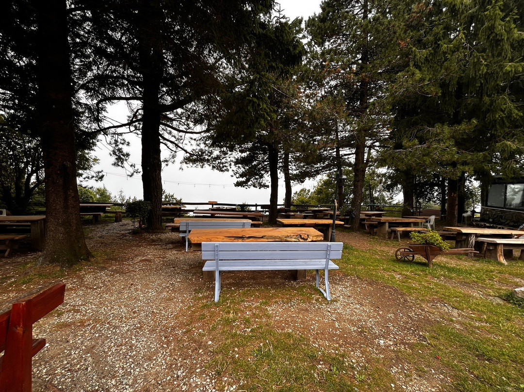 Campocecina Carrara Ms-卡拉拉必去景点