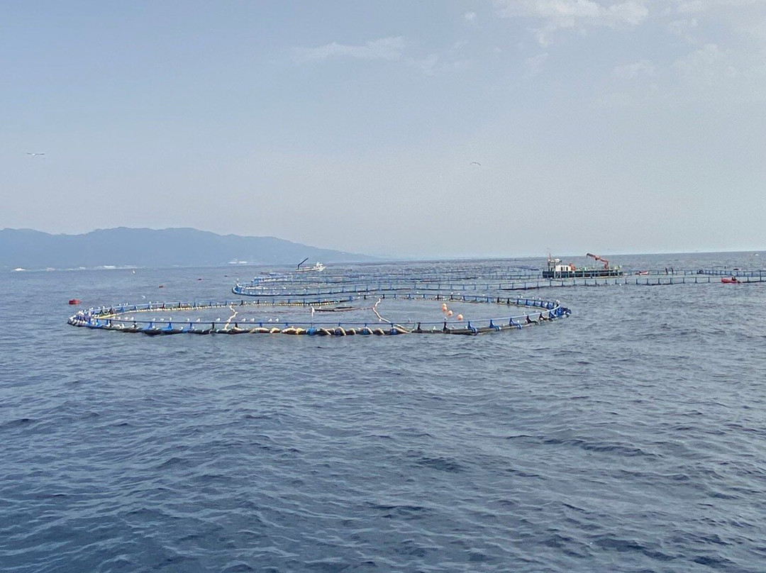 Tuna Tour-L'Ametlla de Mar必去景点