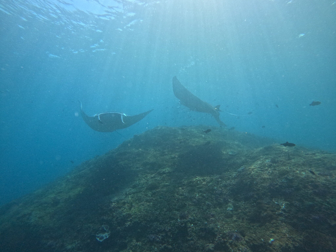 Reeflex Divers Penida-珀尼达岛必去景点