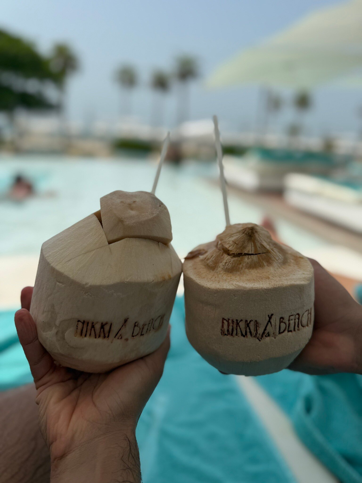 Nikki Beach Resort & Spa Dubai-官方
