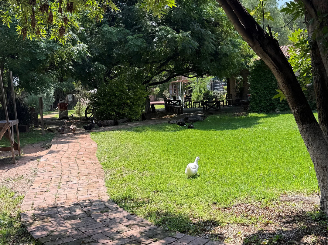 Finca VAI-Purisima de Cubos必去景点