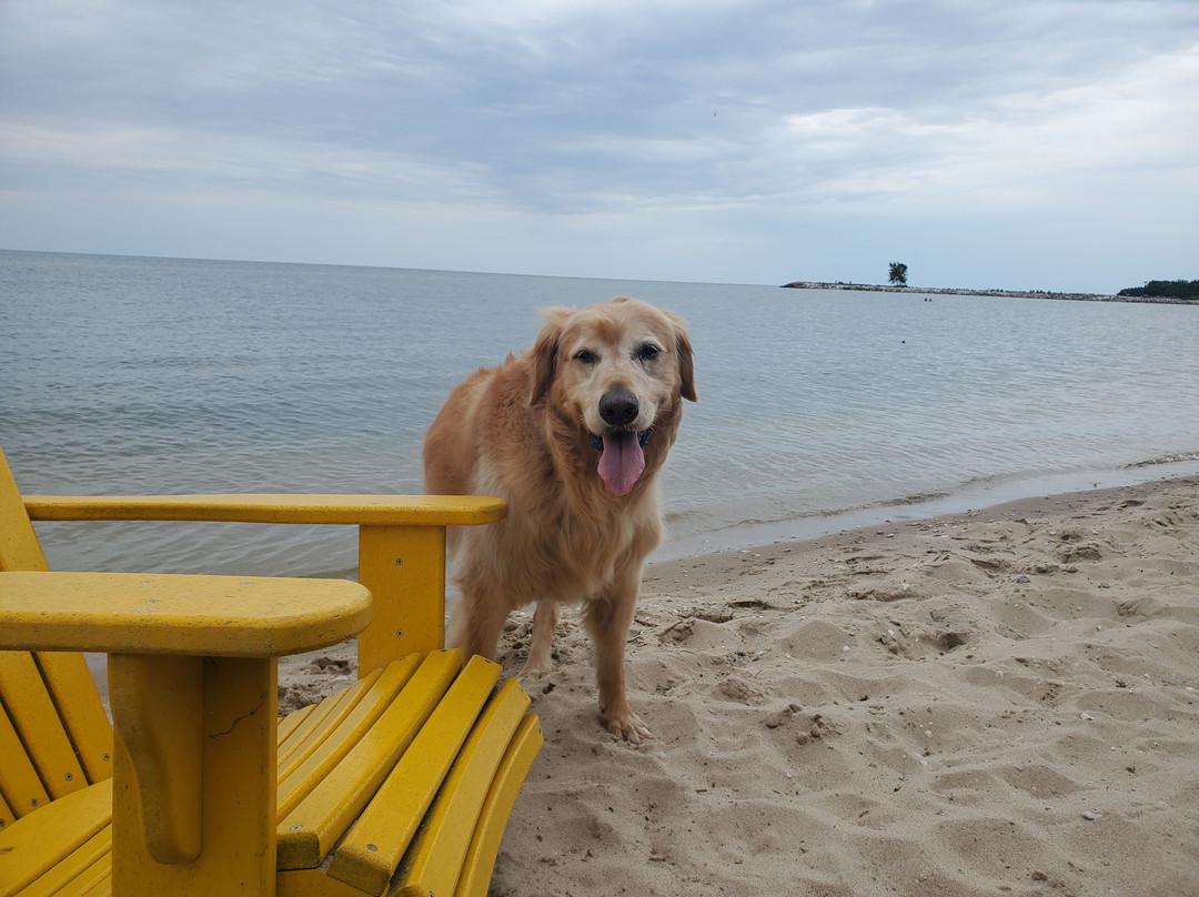 Beachfront Inn主图