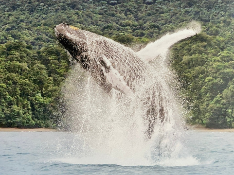 Colombia Infinita-波哥大必去景点