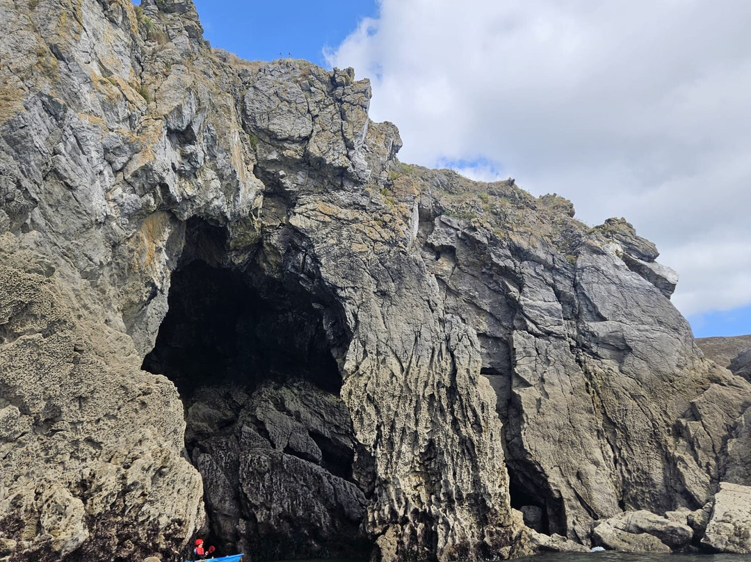 Activity Pembrokeshire-Stackpole必去景点