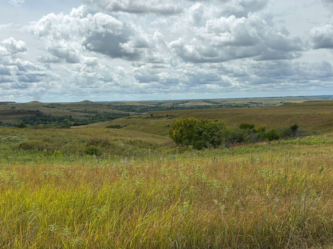 Konza Prairie Biological Station-曼哈顿必去景点