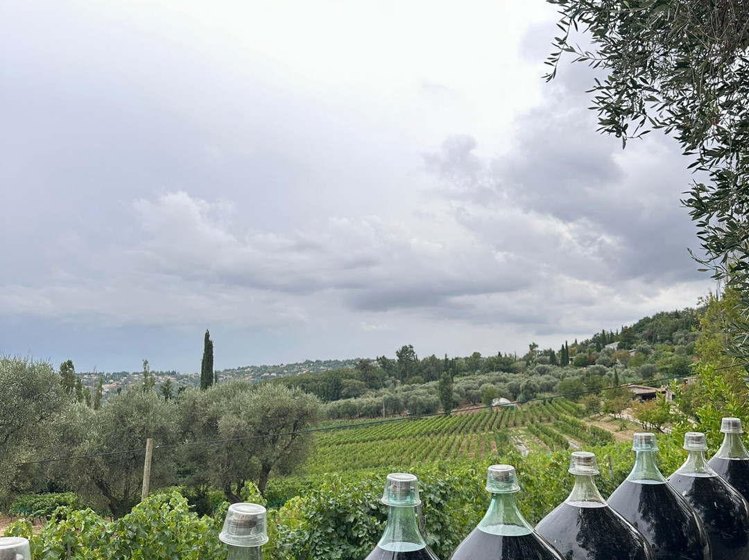 Domaine Des Hautes Collines-Saint Jeannet必去景点