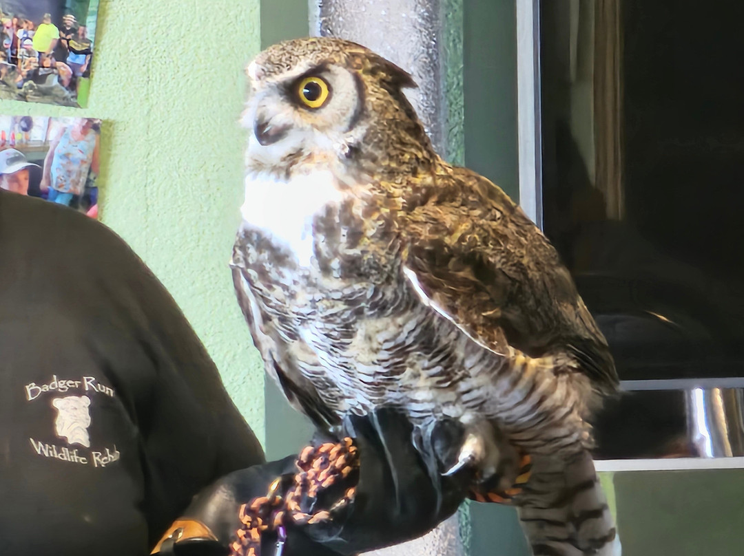 The World of Arkai Family Fun Center-克拉马斯福尔斯必去景点