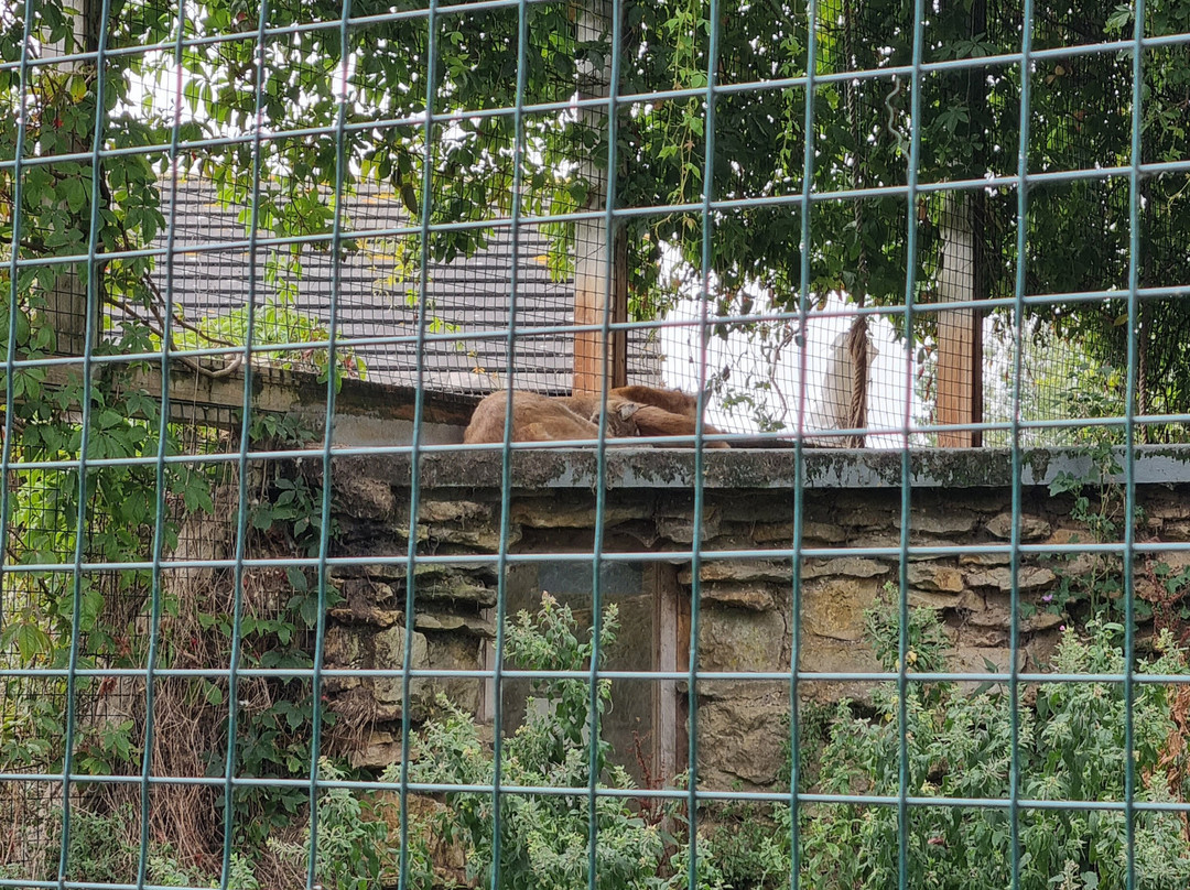 Mablethorpe Seal Sanctuary and Wildlife Centre-Mablethorpe必去景点