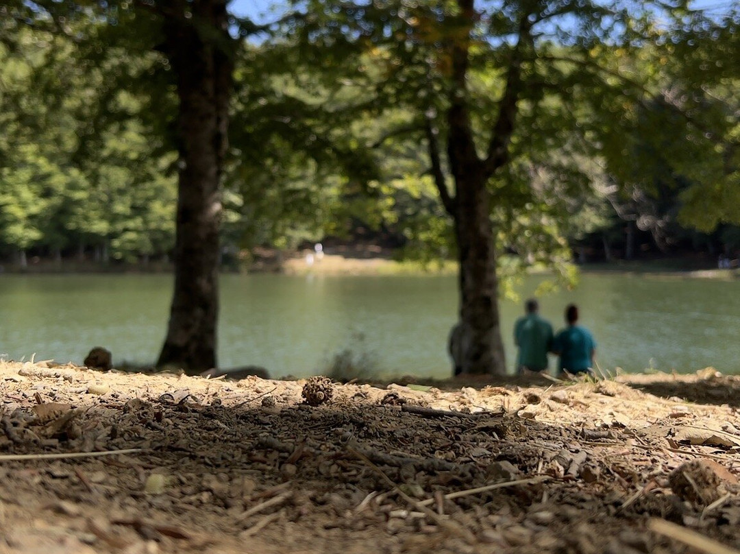 Lago Maulazzo-Alcara li Fusi必去景点