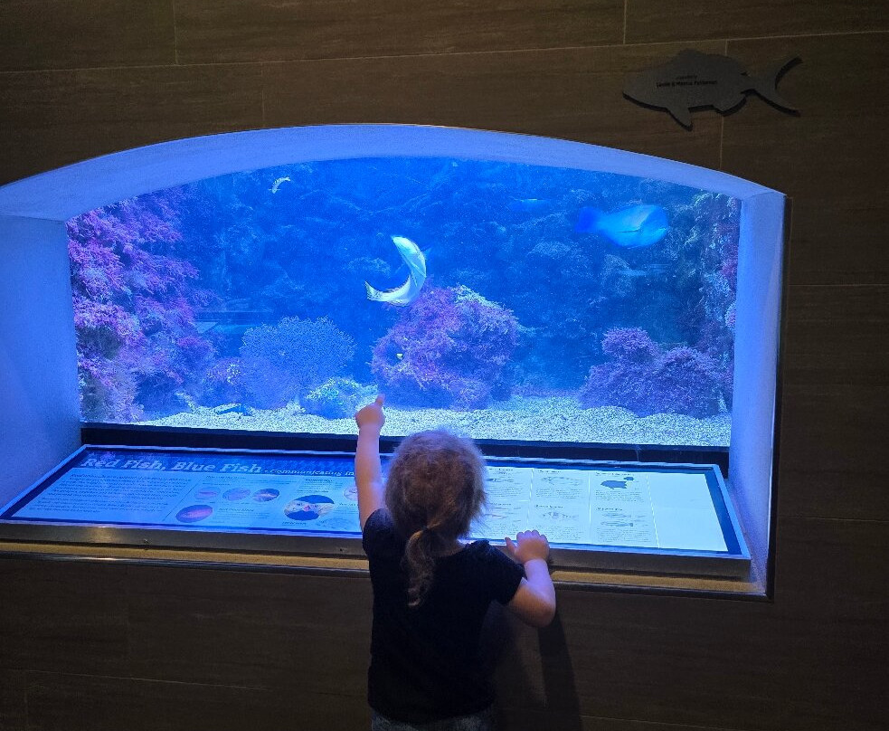 Bermuda Aquarium, Museum & Zoo-Hamilton Parish必去景点