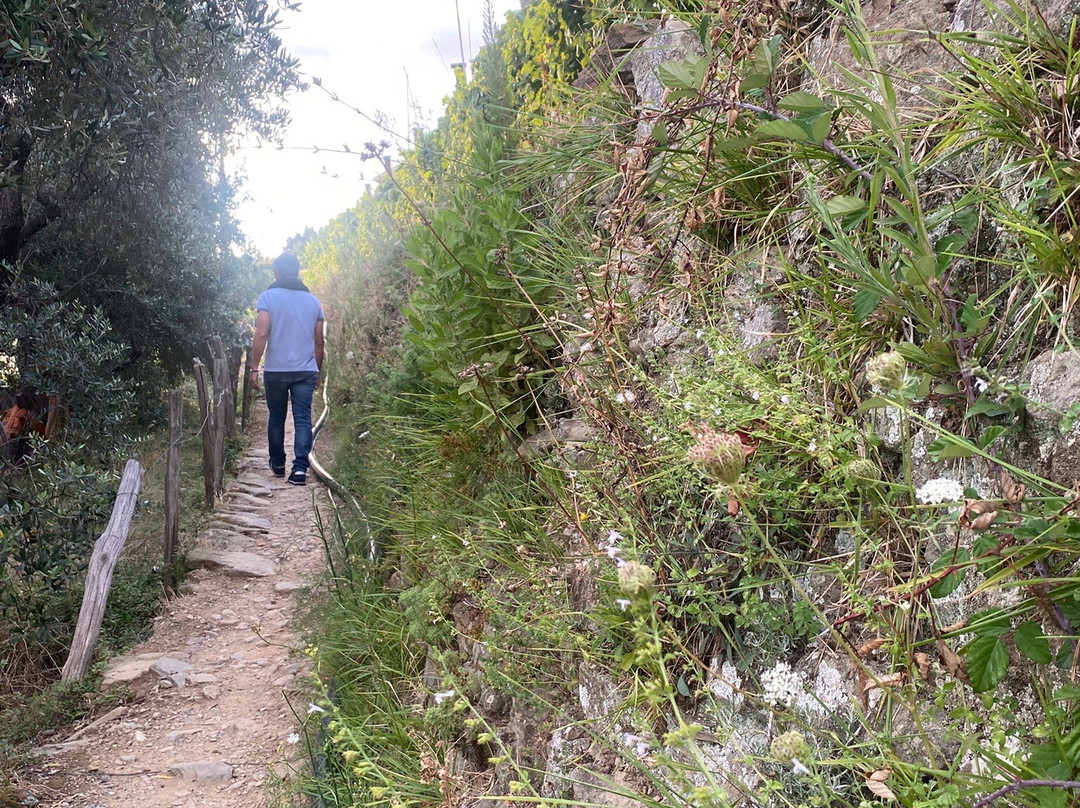 Azienda Agricola Capellini Luciano-佛拉斯特拉必去景点