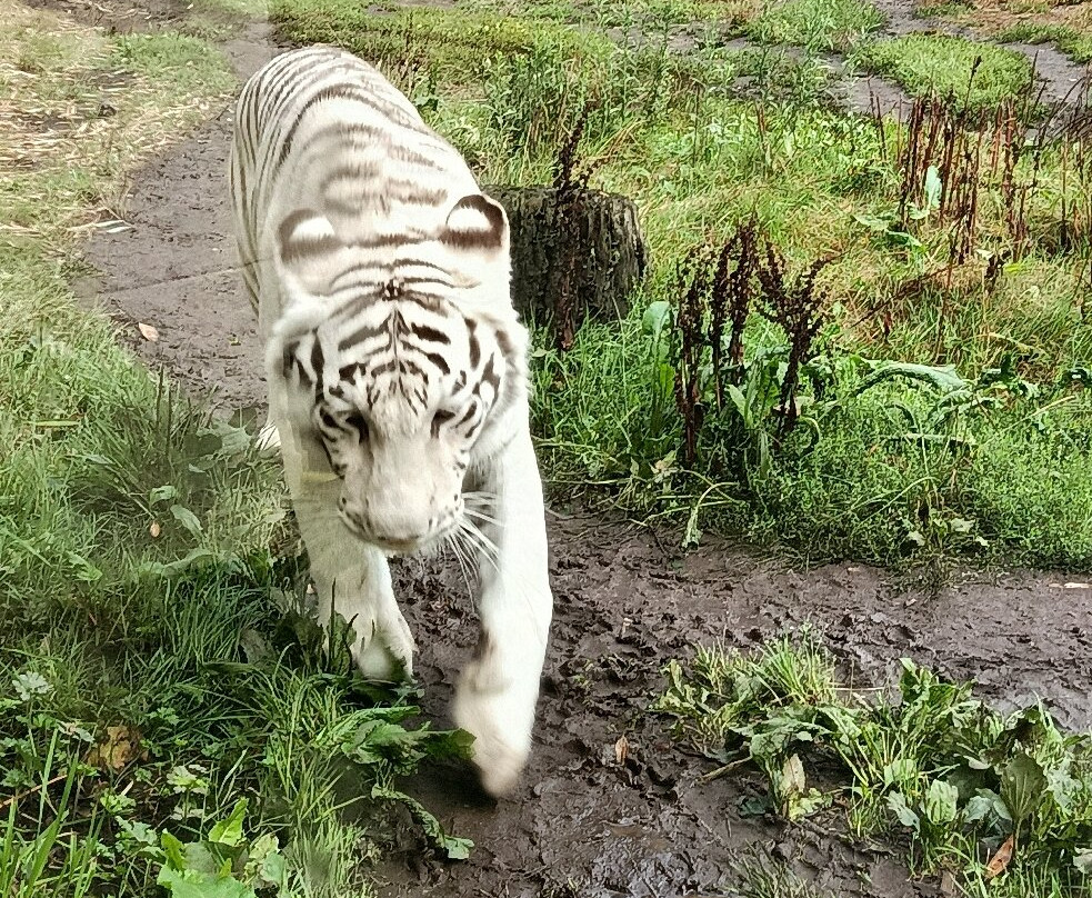 Les Terres De Nataé-Pont-Scorff必去景点