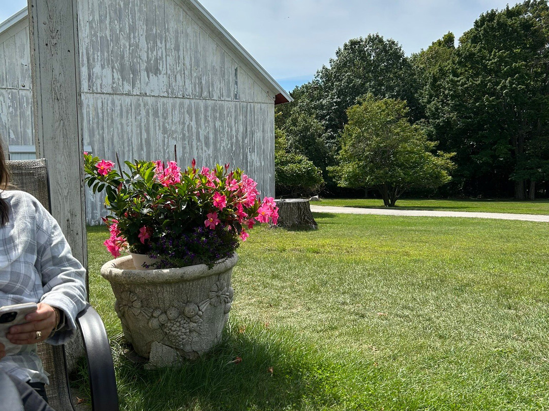 Pere Marquette Winery-拉丁顿必去景点