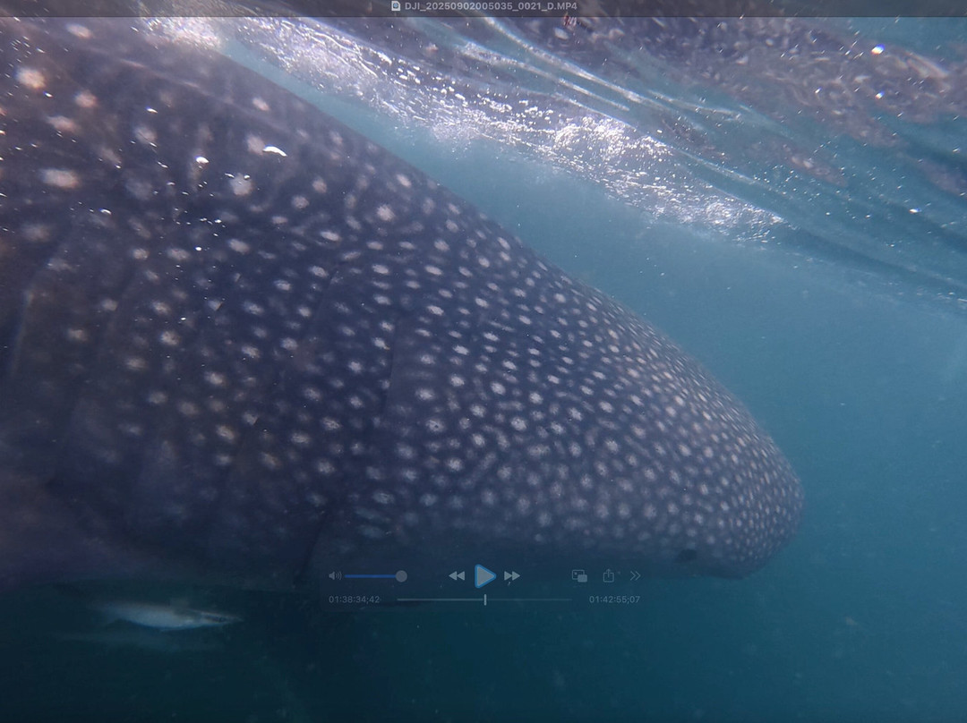 Sumbawa Holiday Tour-Sumbawa Besar必去景点