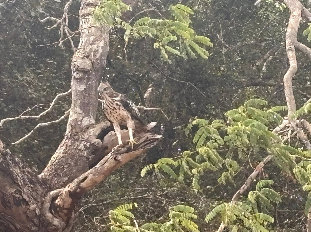 LK Tour Lanka-科伦坡必去景点