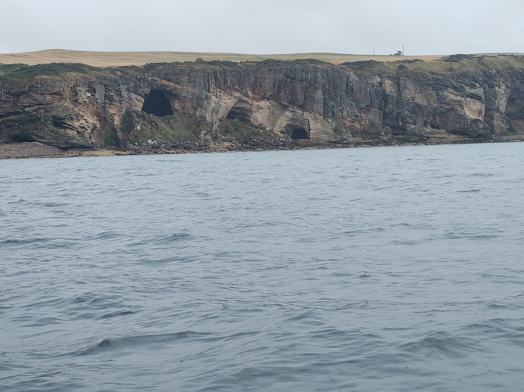 North 58 Sea Adventures-Lossiemouth必去景点