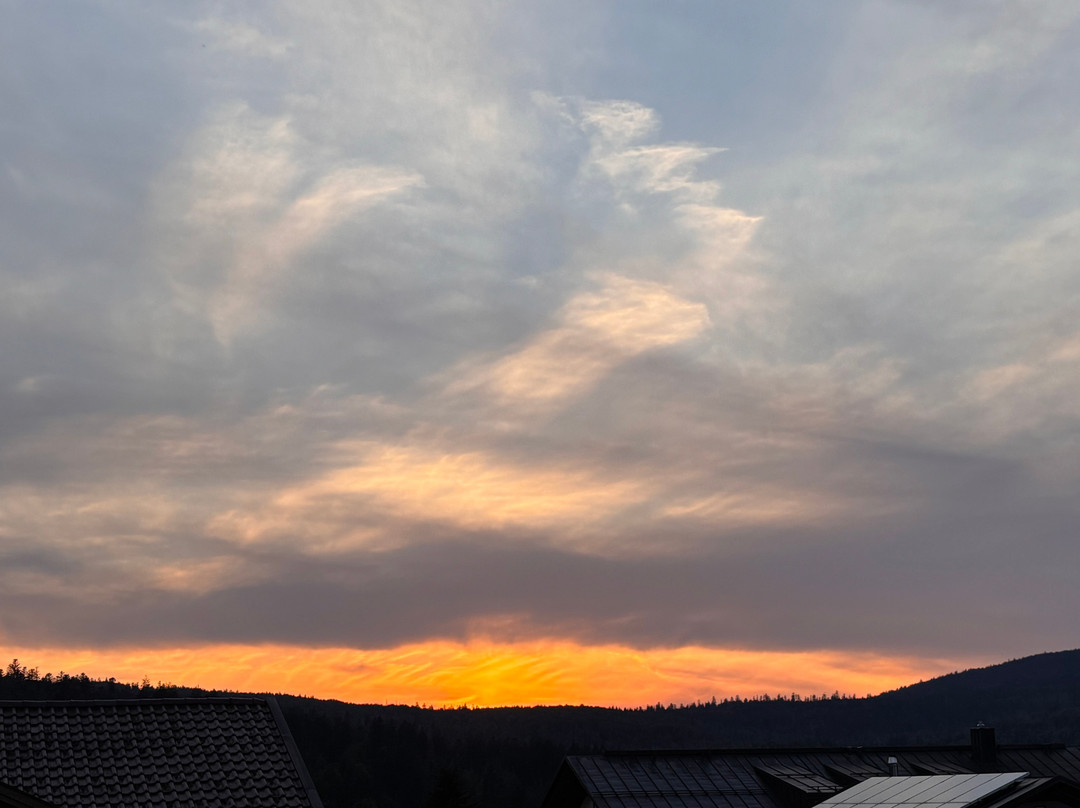 Krauterpension Saumerpfad主图