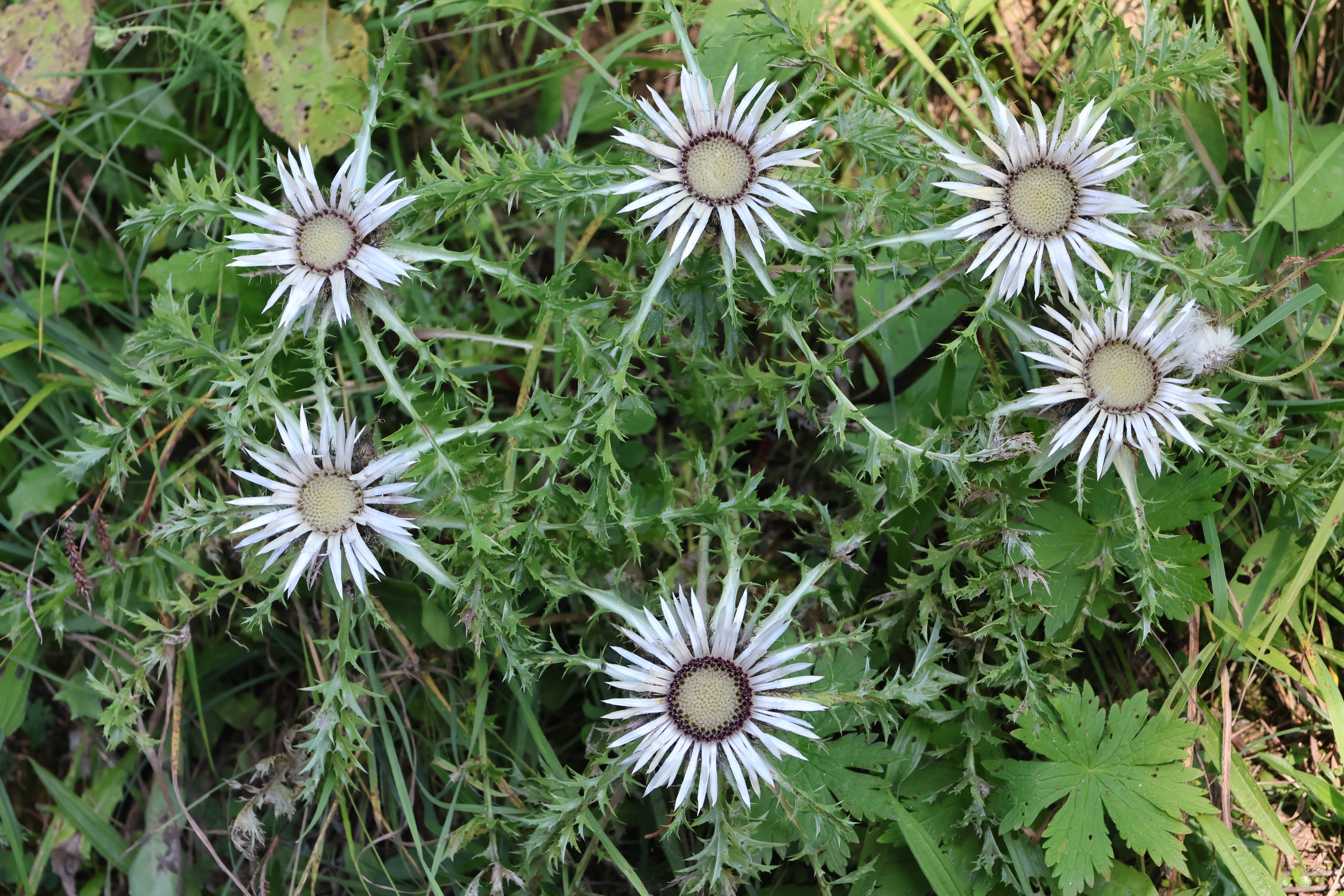 Lechquell Hotel Post-浴室