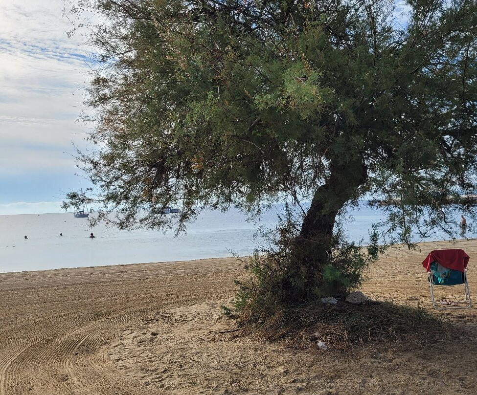 Plage des Salins-耶尔必去景点