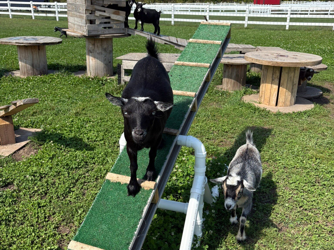 Eagle Eye Farm-River Falls必去景点