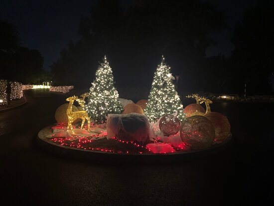 棕榈树水疗酒店主图