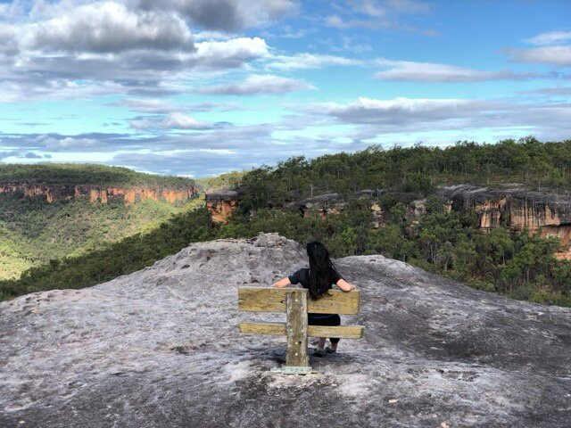 Jarramali Rock Art Tours-凯恩斯必去景点