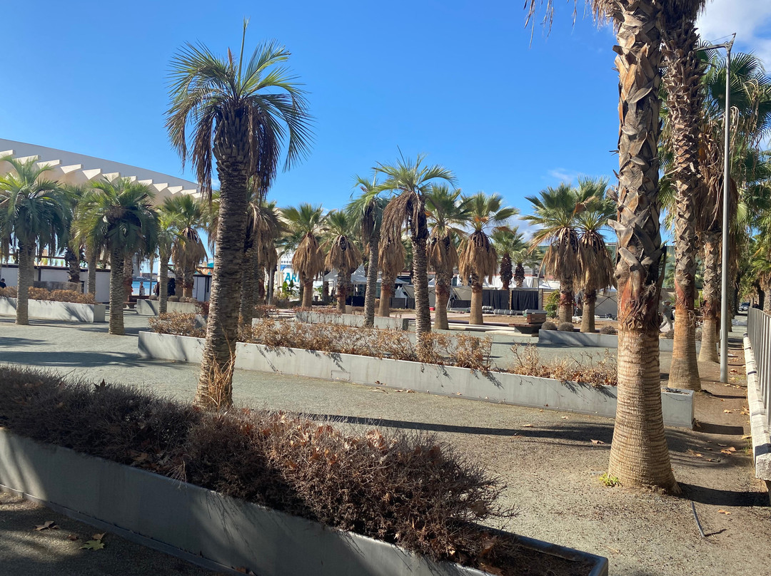 Palmeral de las Sorpresas-马拉加必去景点