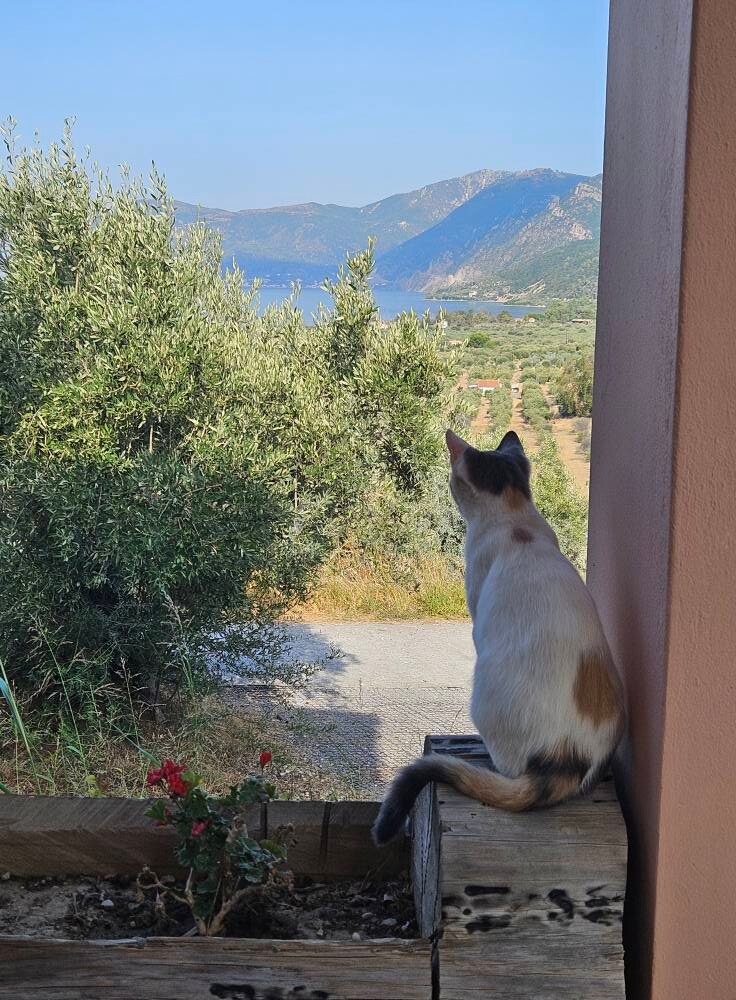 Eleonas Hotel-官方