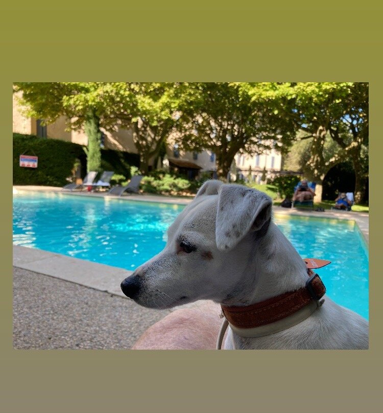 Hotel Restaurant Montmirail主图